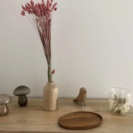 Willa Golfe Pres Des Plages *